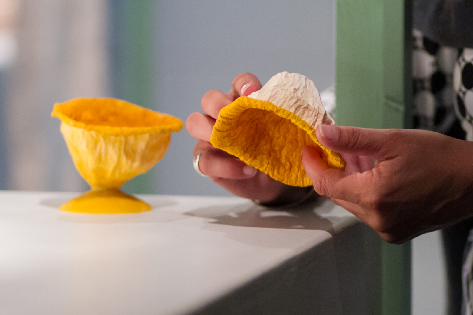 Gedroogde schil meloen