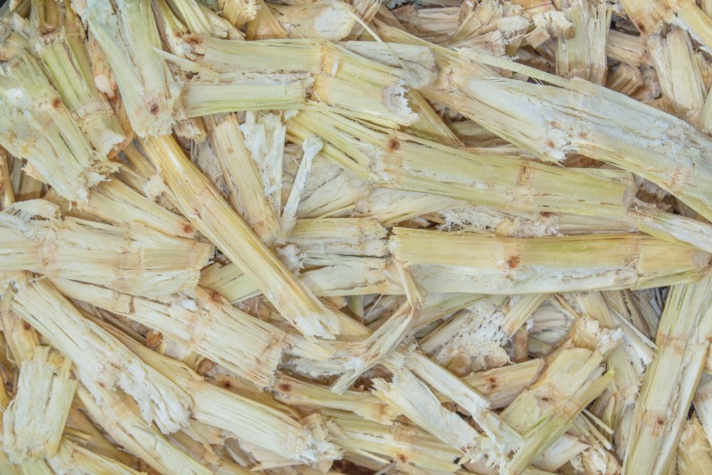 Lignine houtstof planten