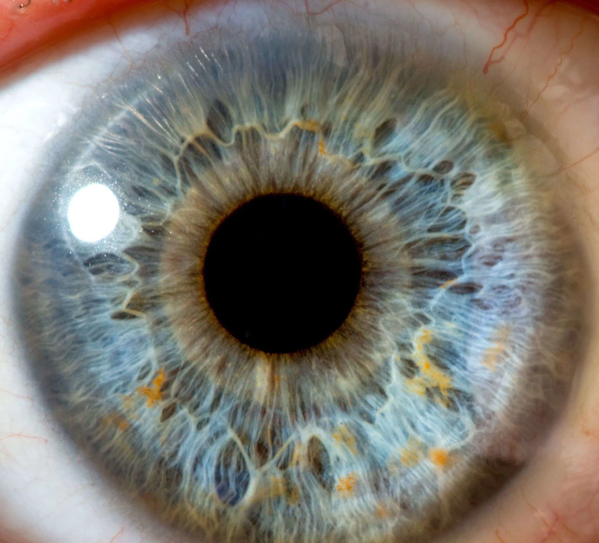 shutterstock_48648910