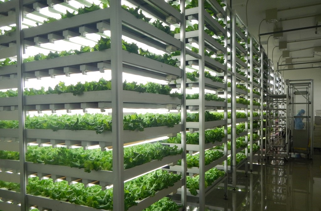 Klimaatkamers tuinbouw