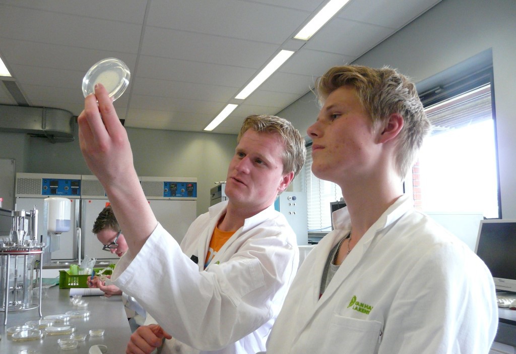 Studenten werken met PHA-producerende bacteriën in het microbiologie-lab van VHL