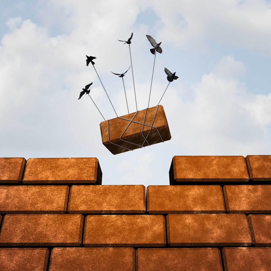 vogels leggen steen in muur small