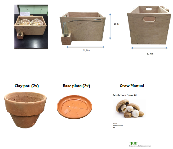 Kleinschalige paddenstoelen grow kit