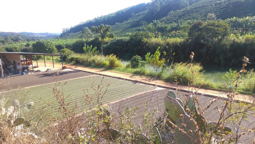 Koffieproductie in Minas Gerais, Brazilië