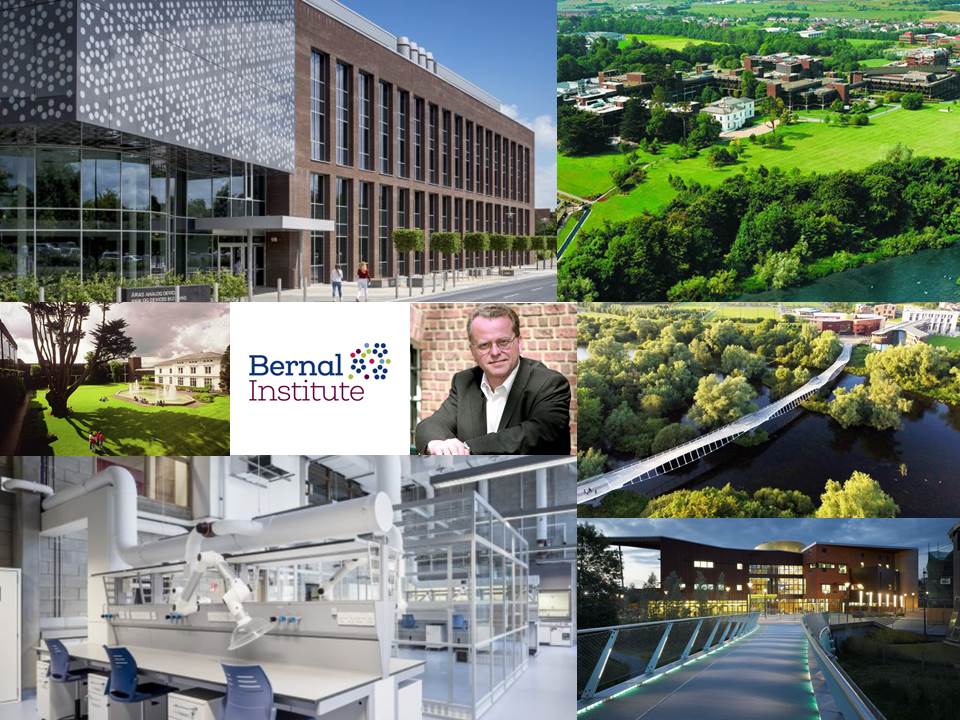 Luuk van der Wielen Bernal Institute