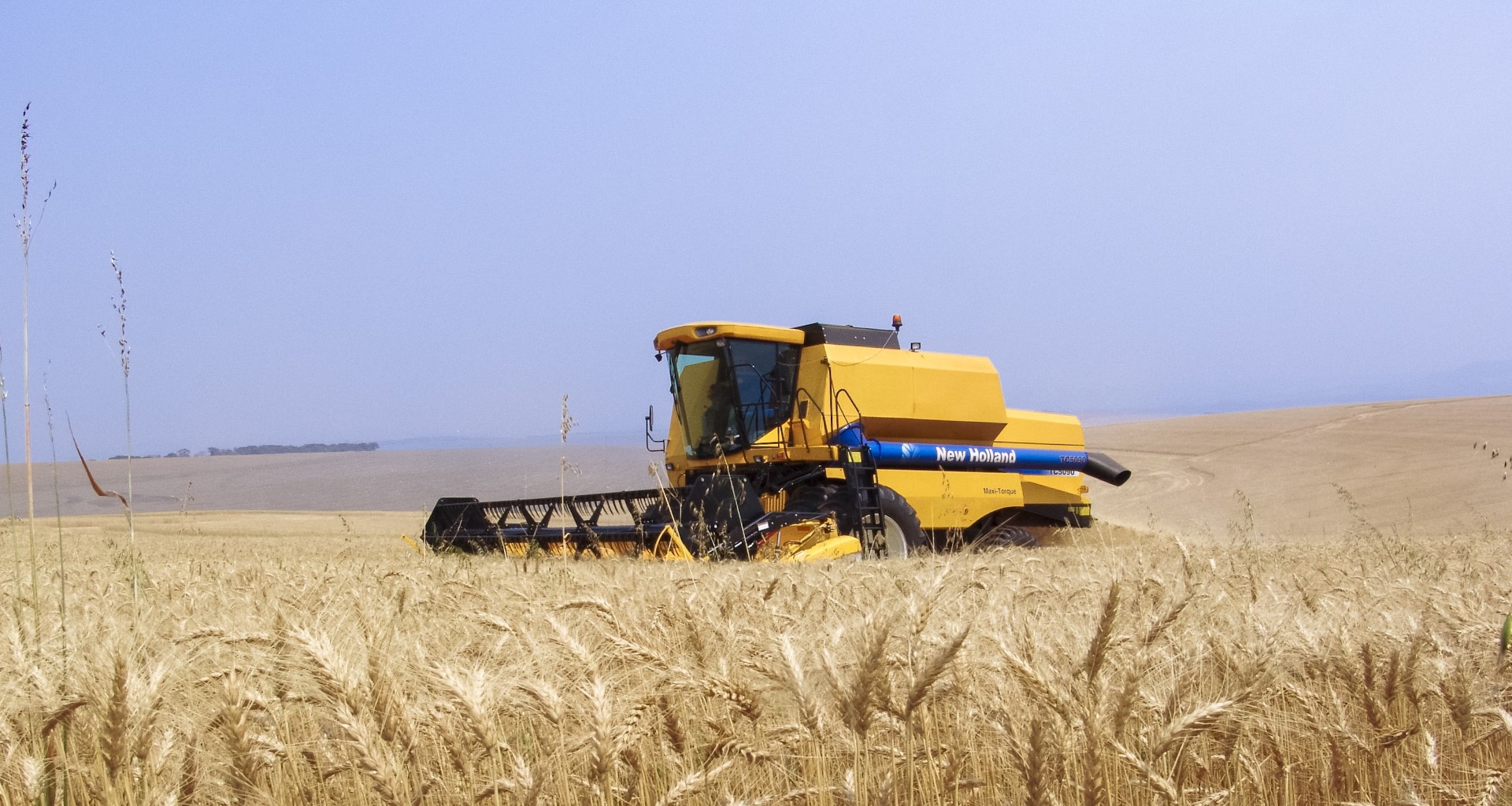 MOOC Biobased Economy Introduction Weer Van Start Agro Chemie
