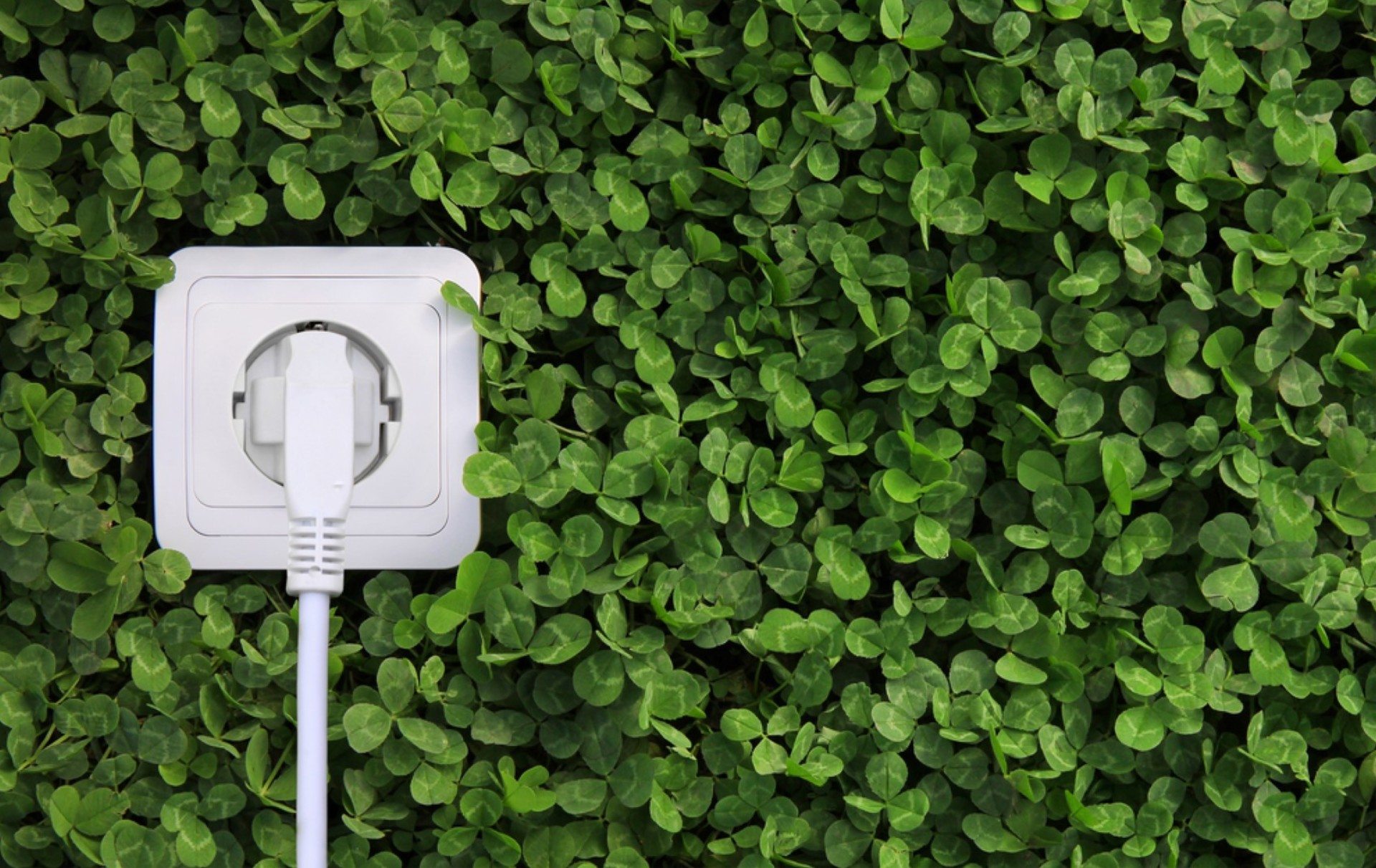 stopcontact tussen planten groene energie