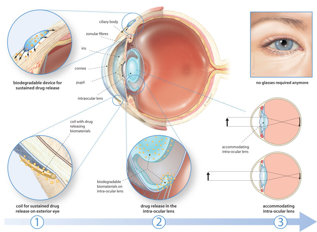 AC 03 2014 INSCITE small
