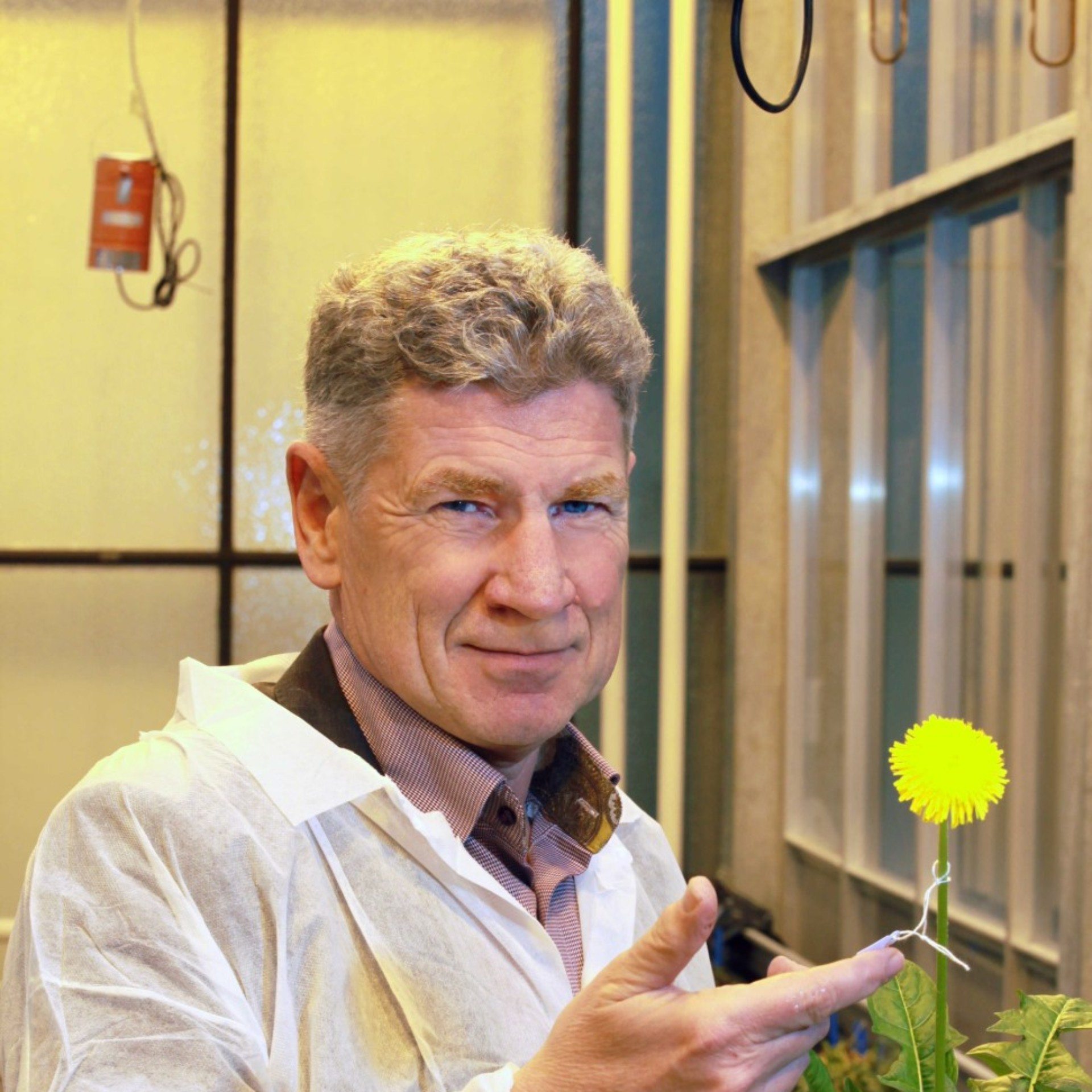 KeyGene interview van Dune met bloem small