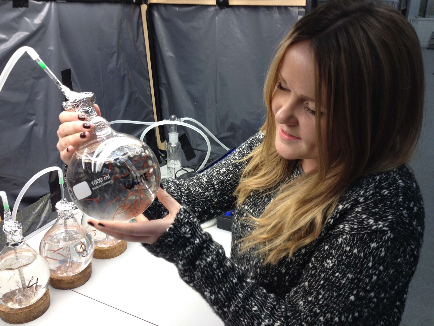 Lauren Elliot (student) bezig met reproductie van Gracilaria small