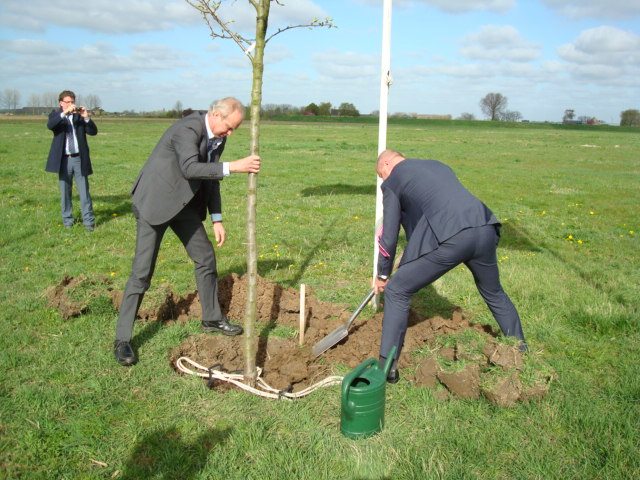 boom planten mannen in pak GGG