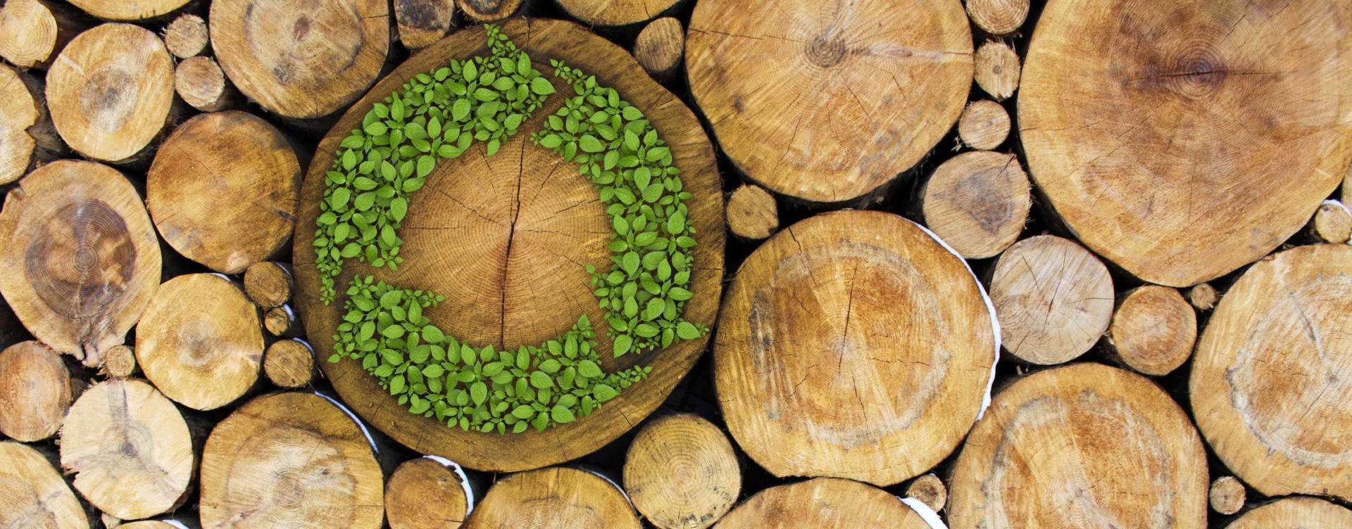 boomstammen circulair small