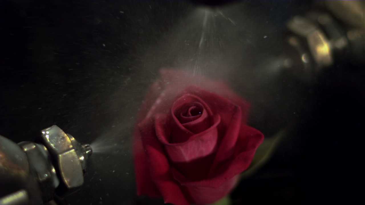 innovatielink liquidseal roos wordt besproeid small