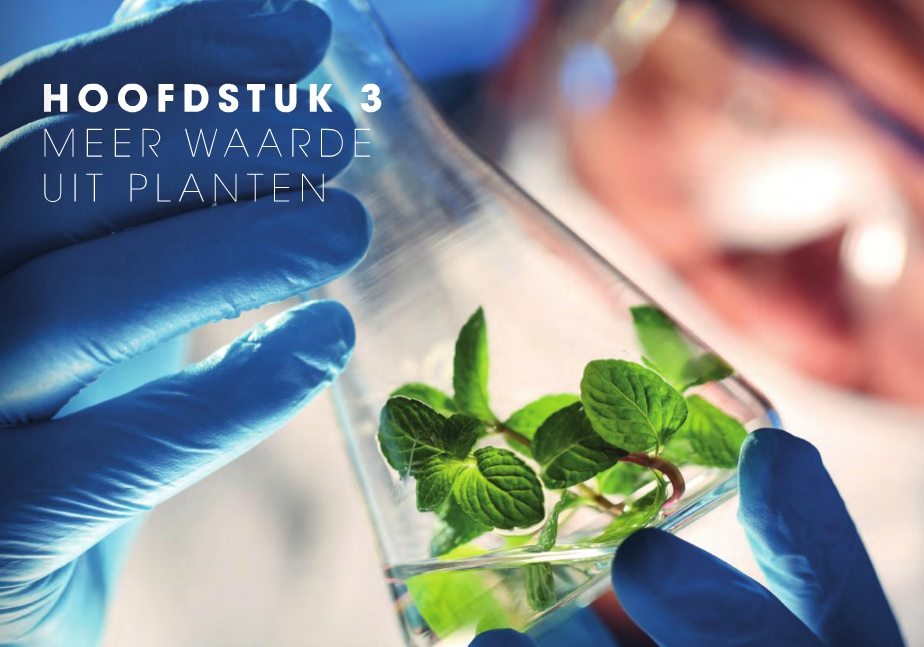 lessenset hoofdstuk 3 meer waarde uit planten