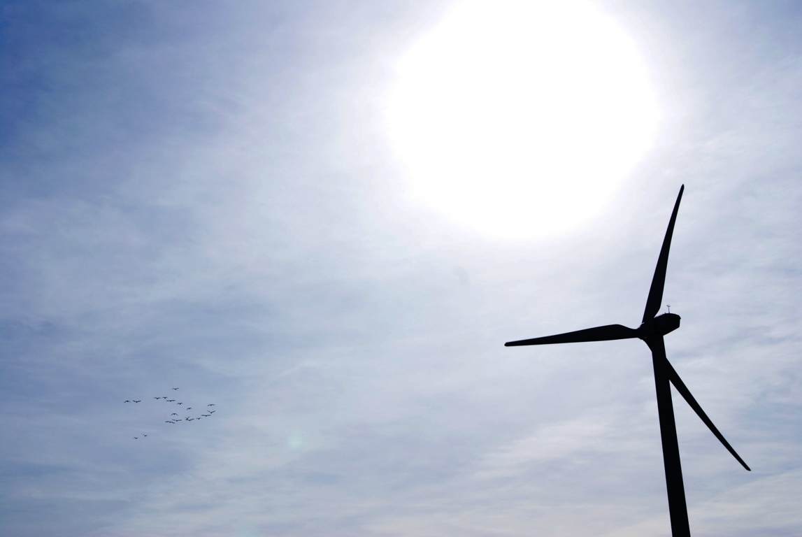 windmolen silhouetsmall