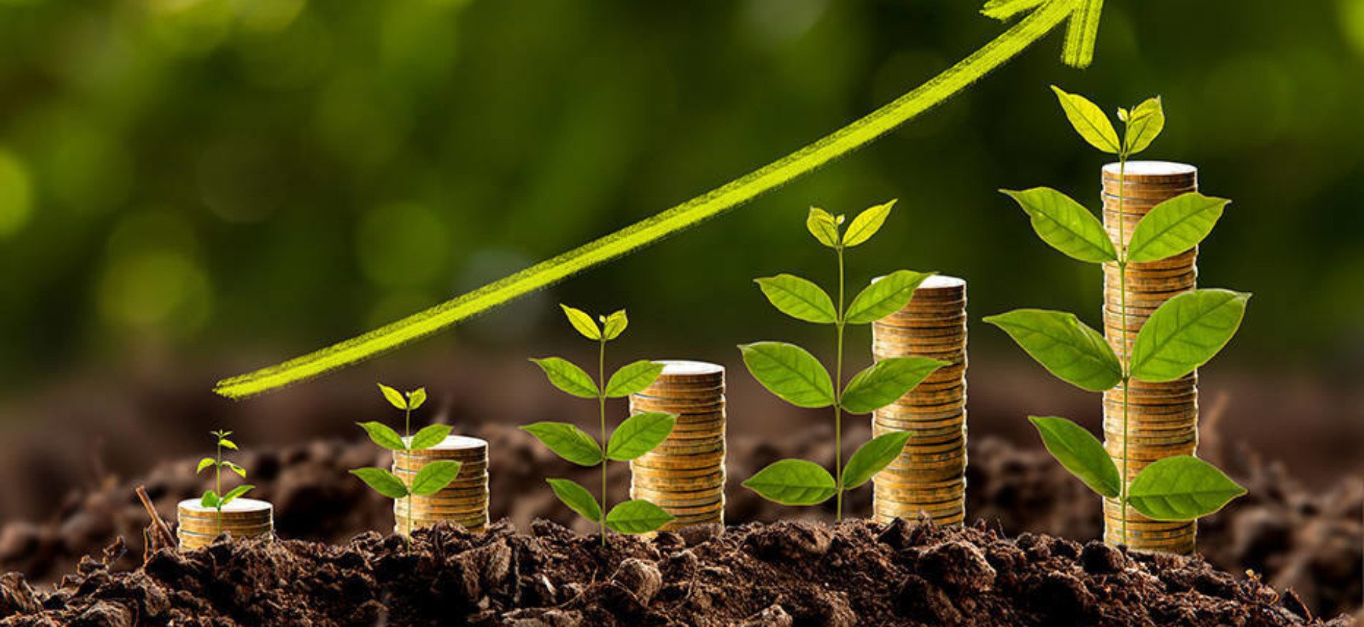 Planten met geld en pijl