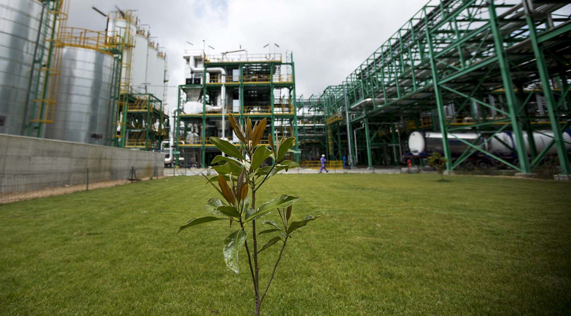 Novamont biorefinery