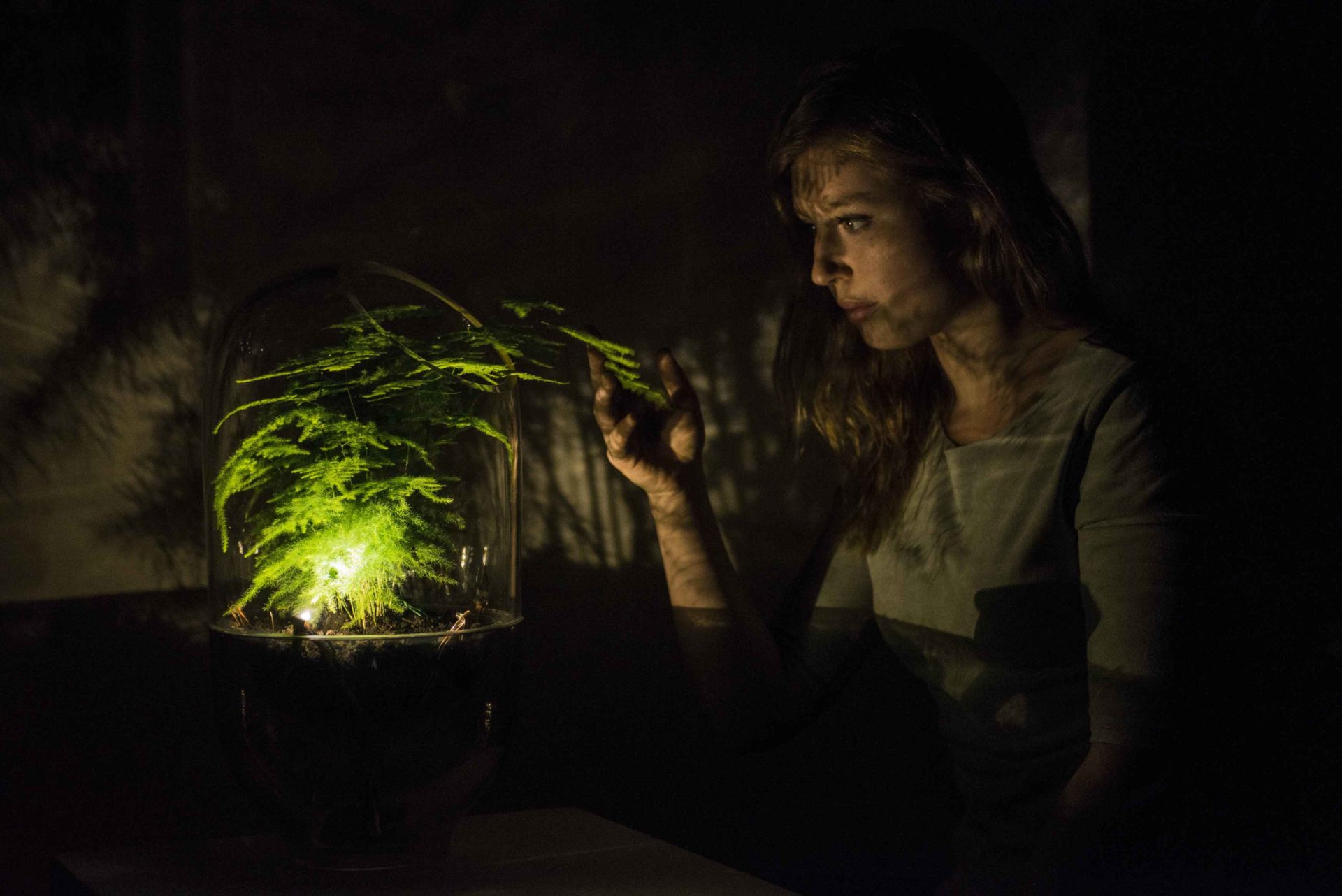 Vrouw Duisternis Plant Licht