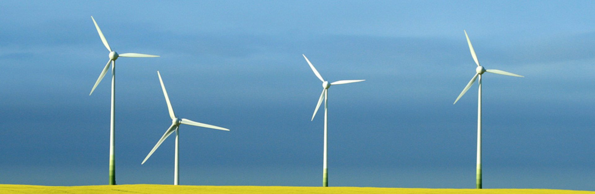 Biobrandstof raapzaad windenergie UFOP