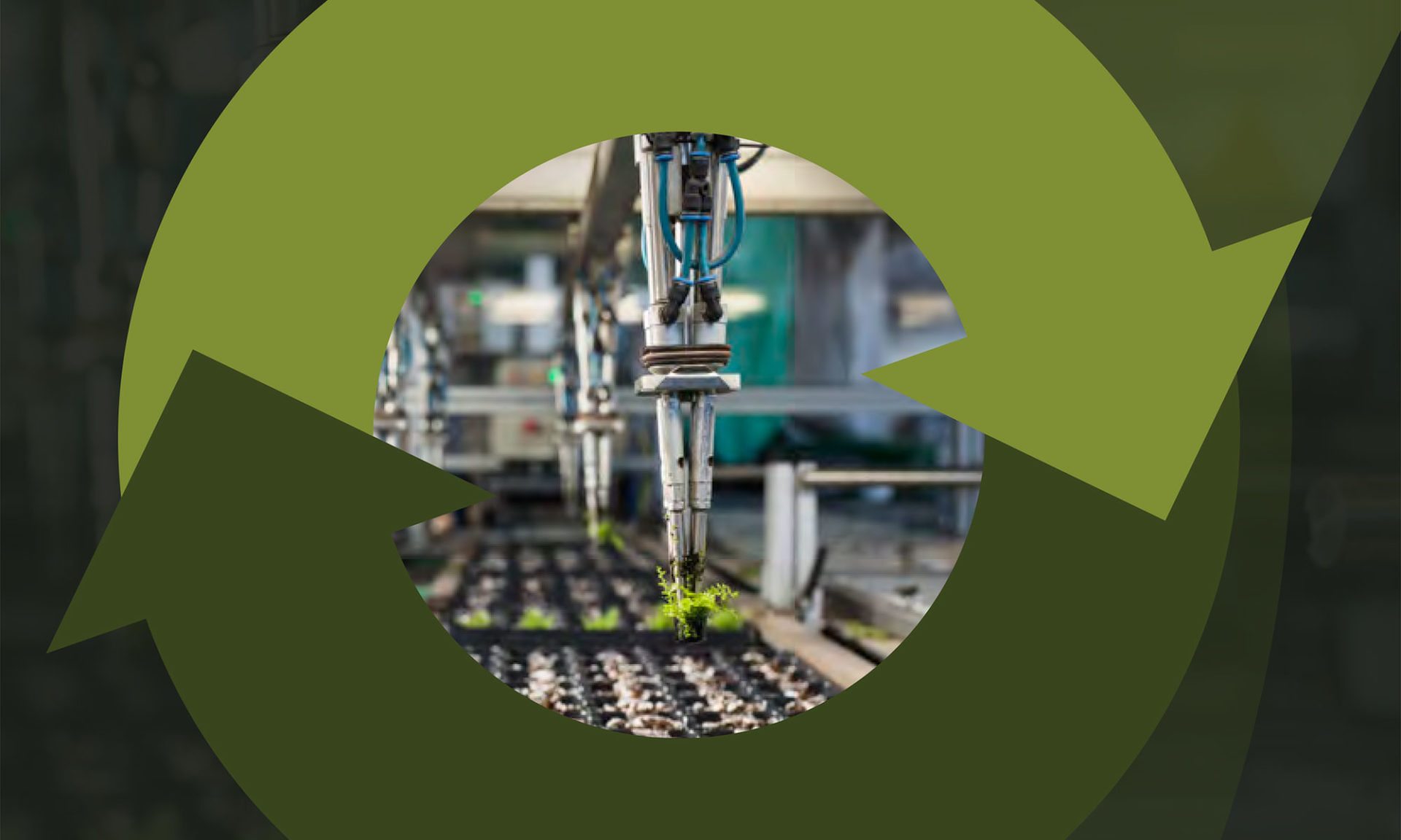 Cover Transitieagenda Biomassa en Voedsel