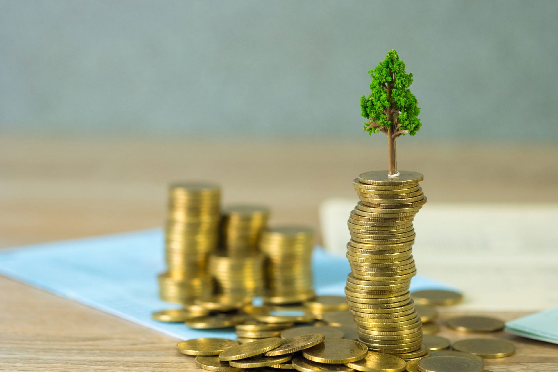 Stapel euro's met boompje