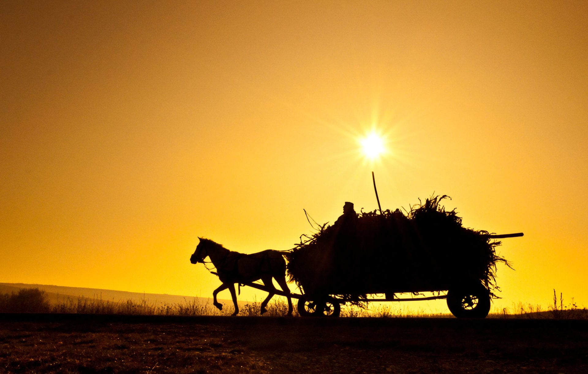 Landbouw in Roemenië