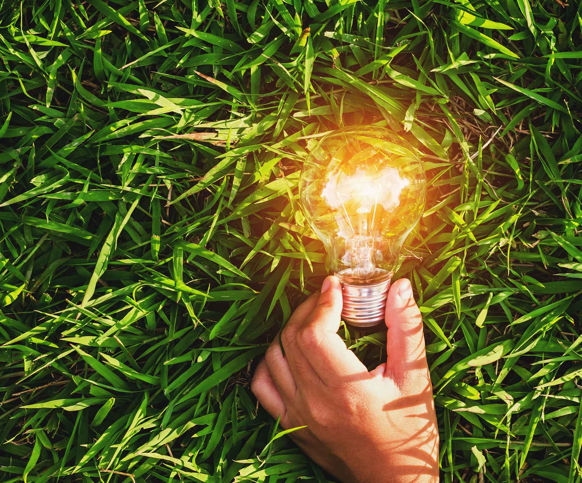 Hand met brandend lampje op gras