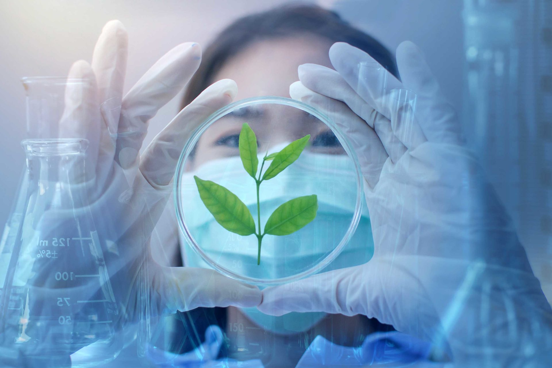 Laborante met plantje in een petrischaaltje