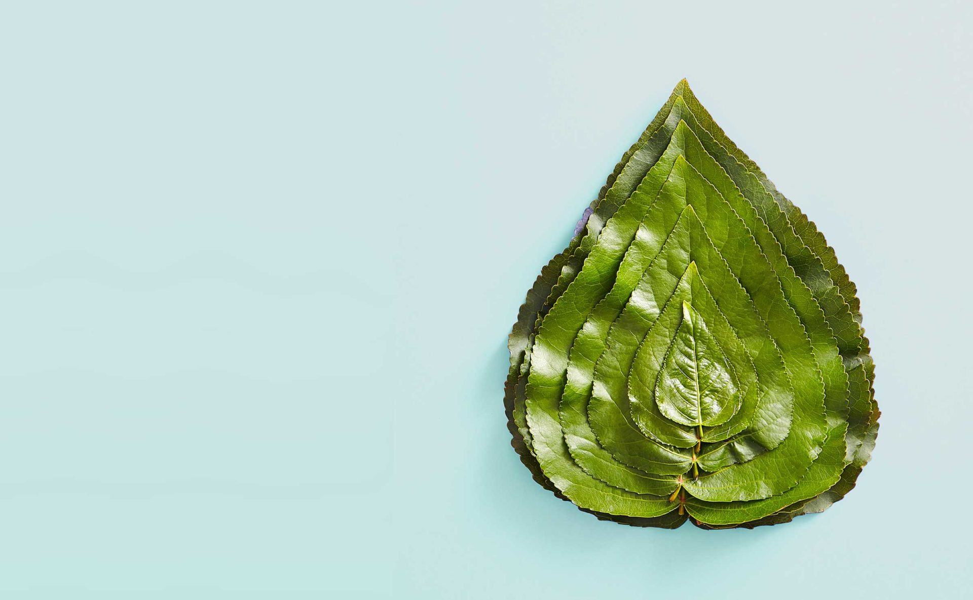 Stapel grotere en kleinere bladeren