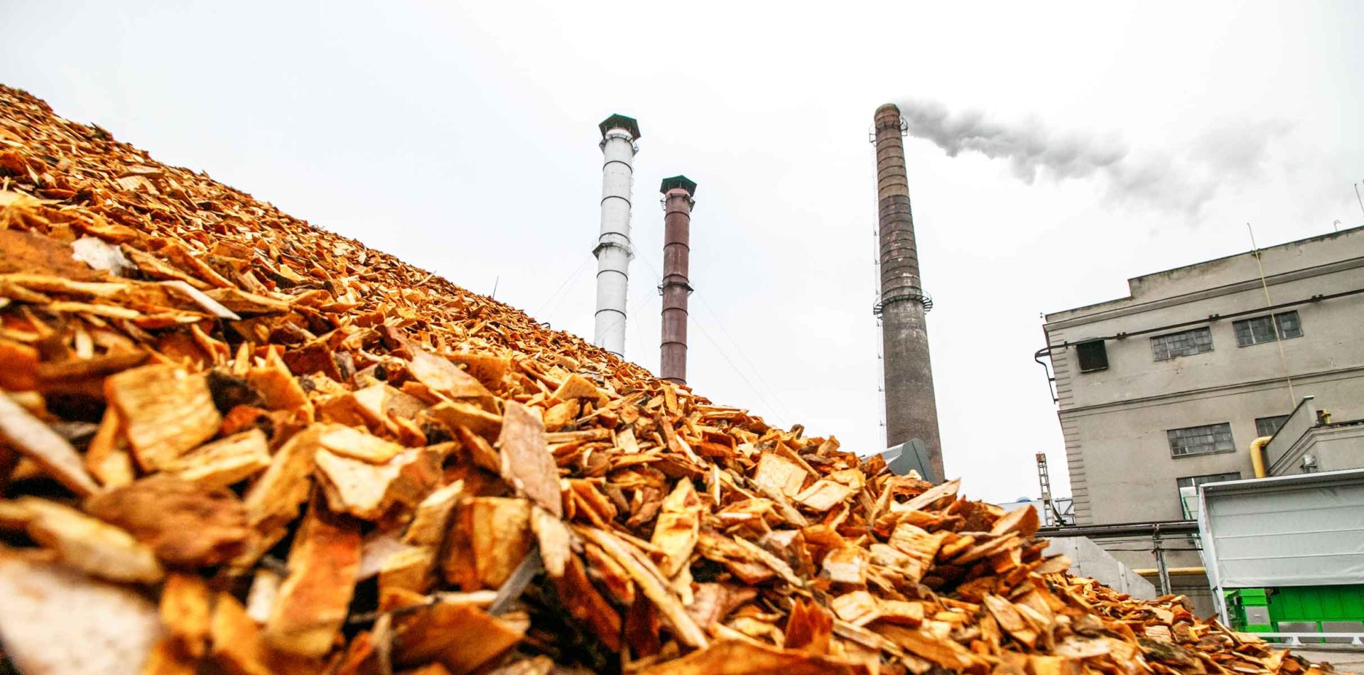 Houtchips bij bioenergiecentrale