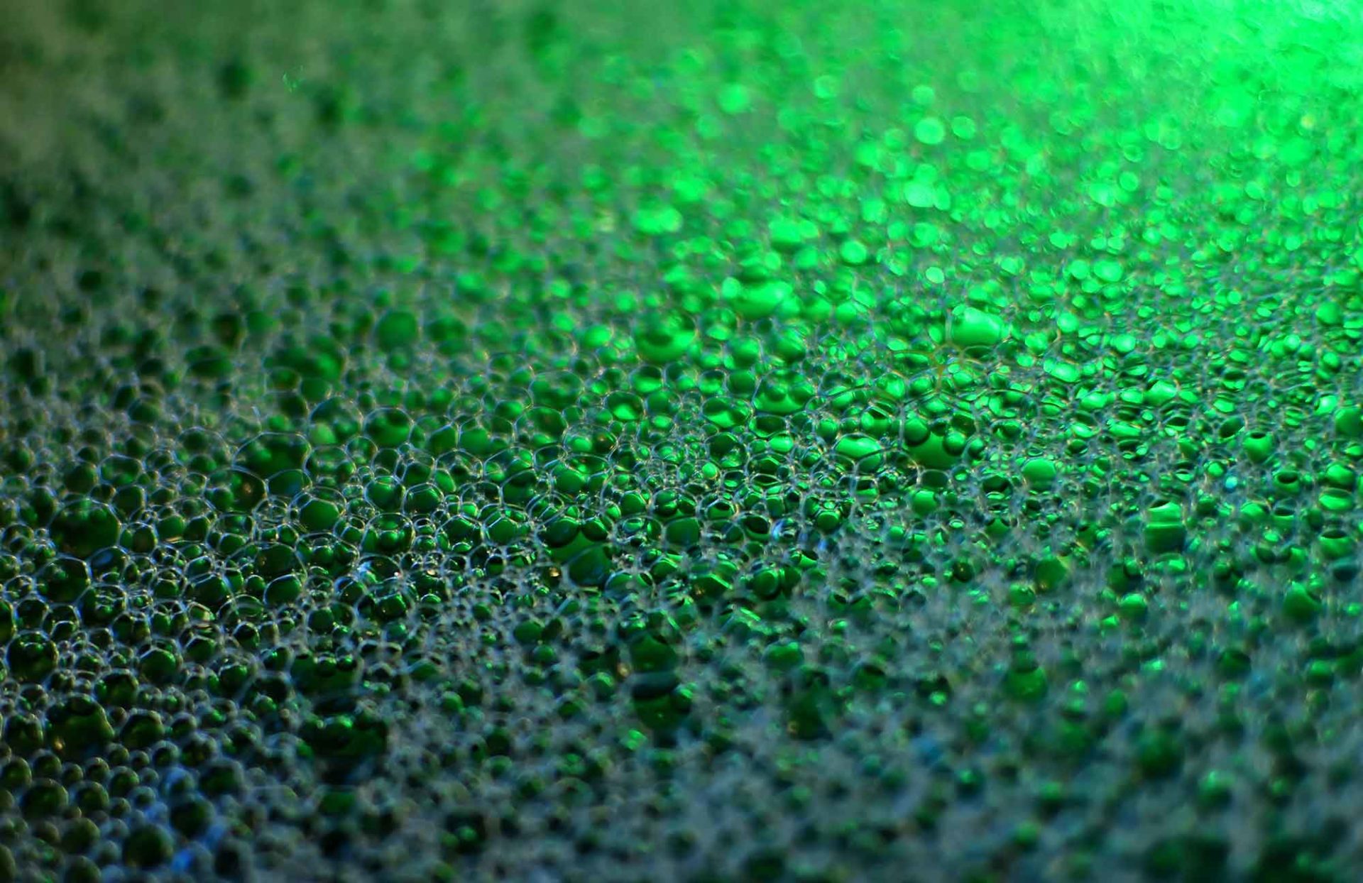 Oppervlakteactieve stoffen