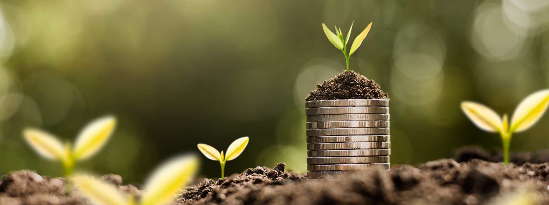 Stapel munten met plantjes