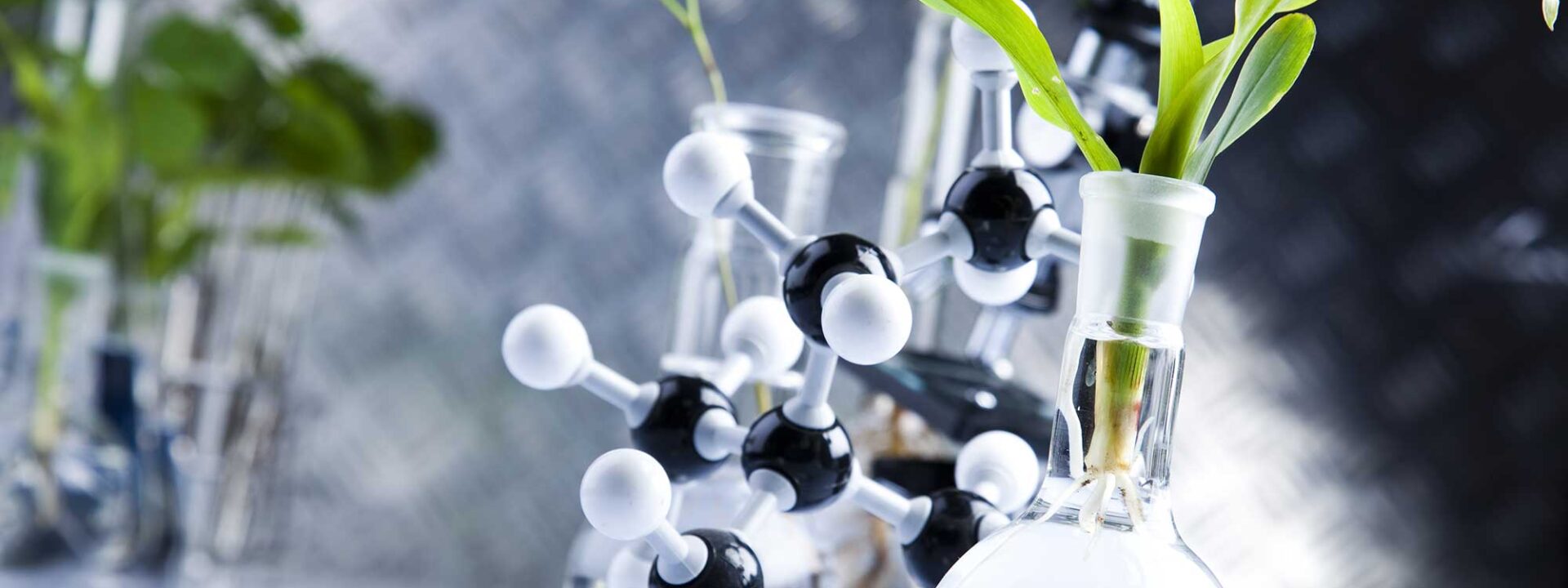 Plant in labglas met model molecuul