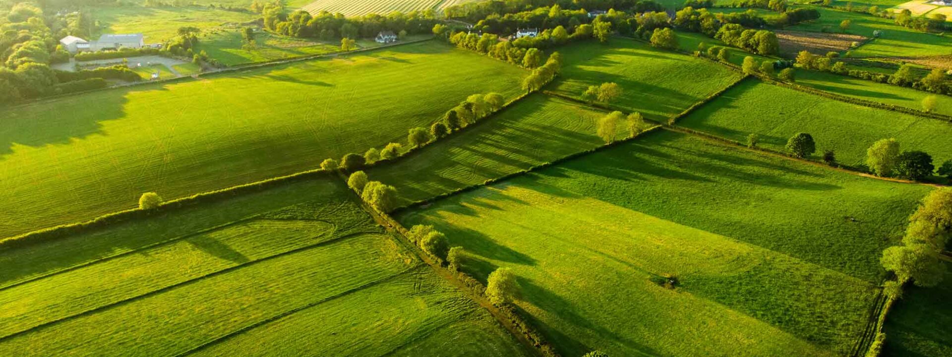 Europa - landbouw - Ierland