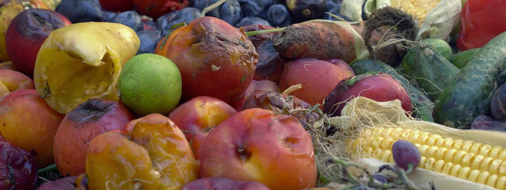 Bio-afval, organisch afval