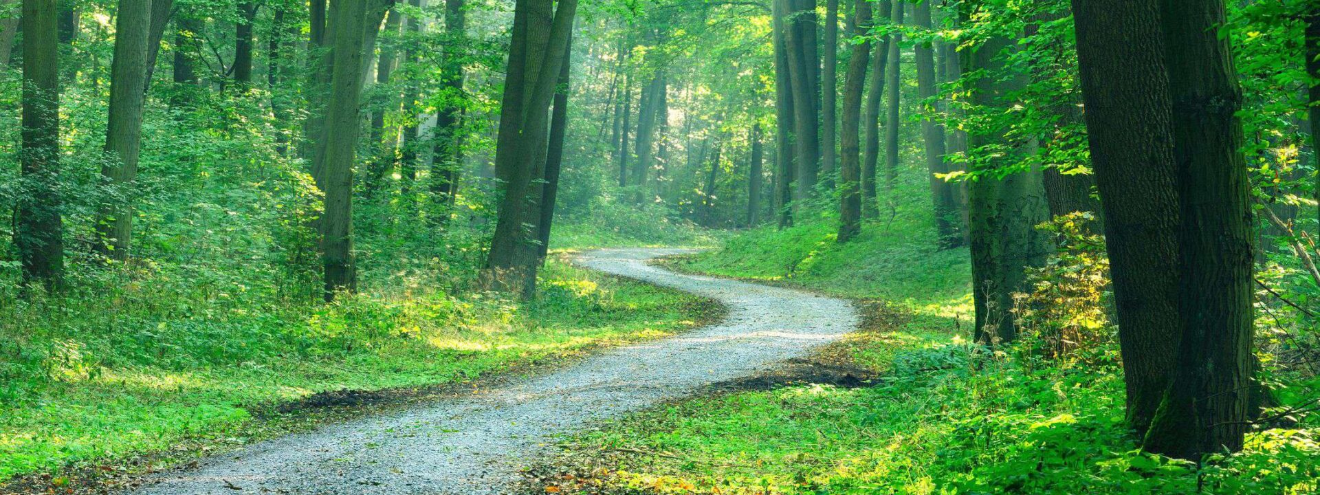 shutterstock_1033565986 biobased inkopen bos