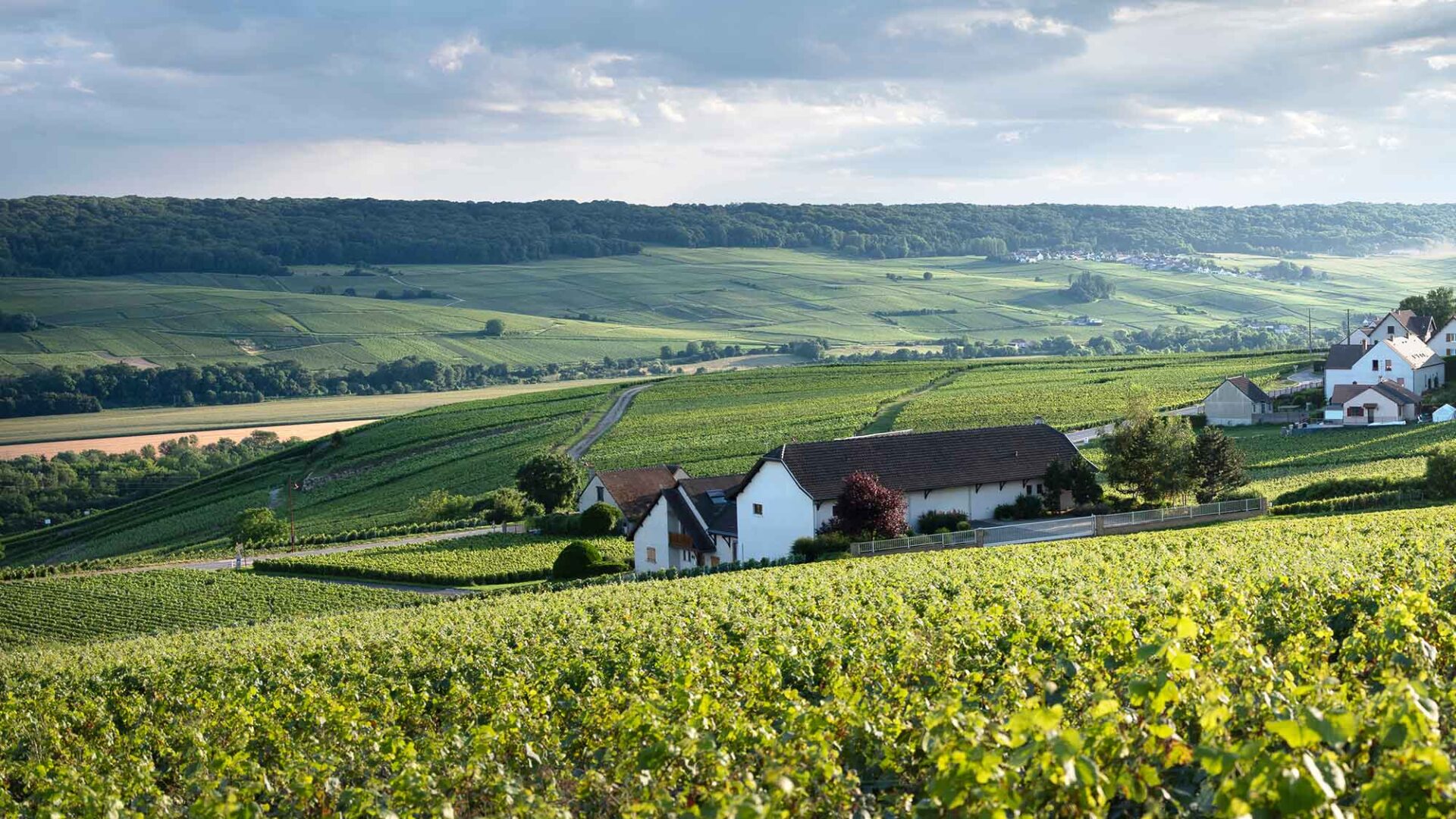 Marne-regio Frankrijk