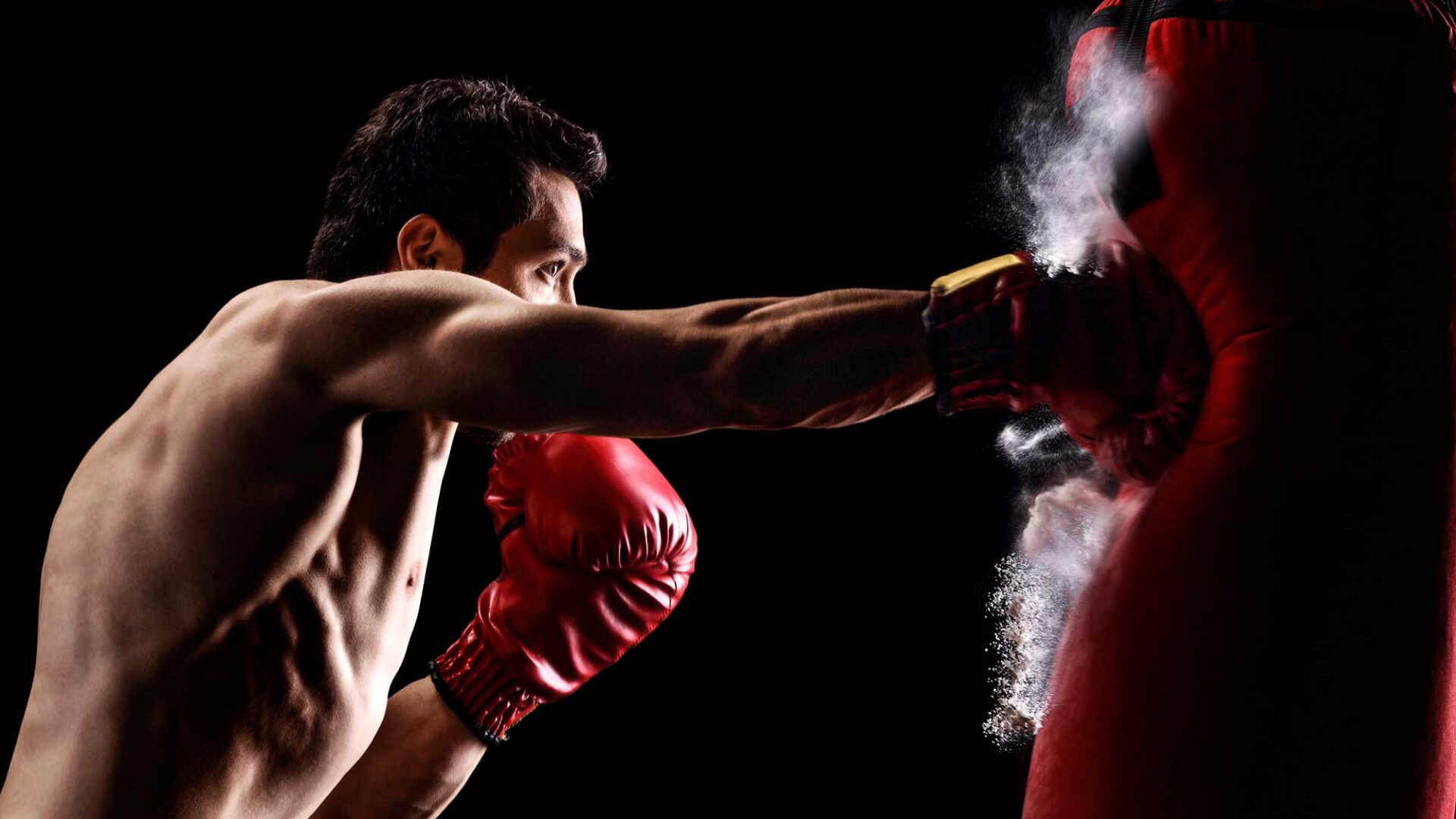 Bokser slaat erop los